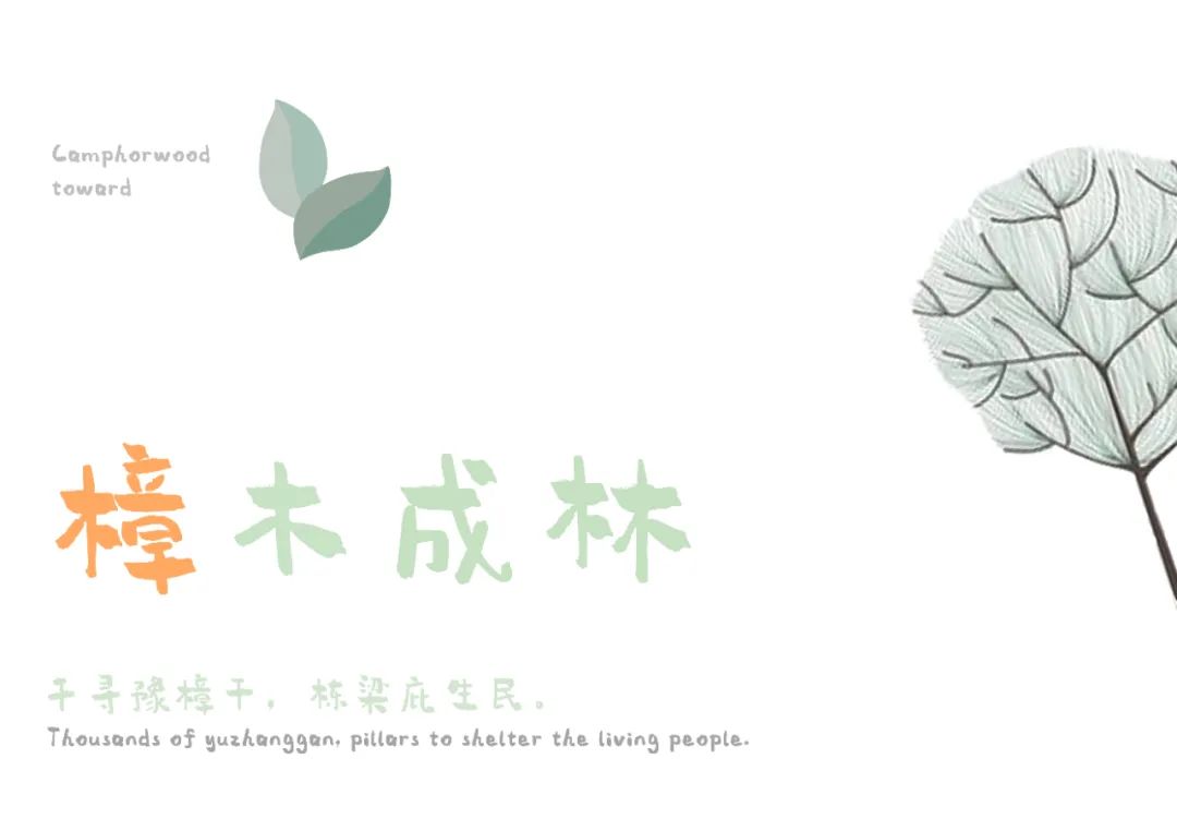 萌芽新生，樟木成林 | 长沙雨花金茂智慧科学城-53