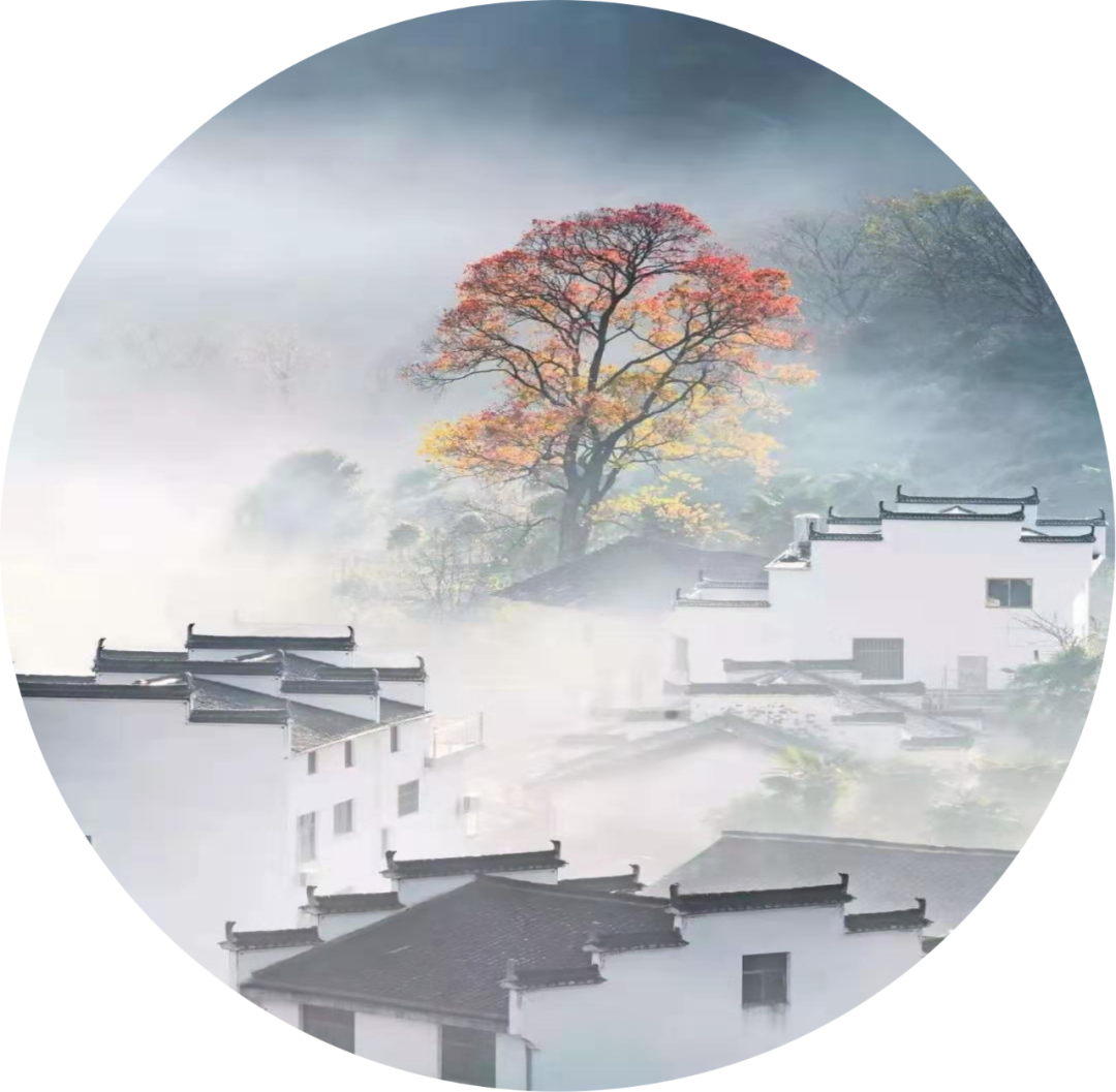 佛山顺德“窥·日”庭院设计丨中国佛山丨陈向联合设计-7