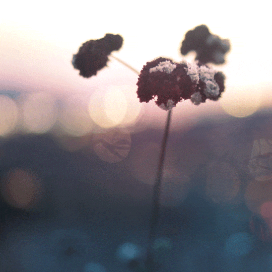 香港置地·武汉·光谷元庐·星启丨中国武汉丨海力空间设计-75