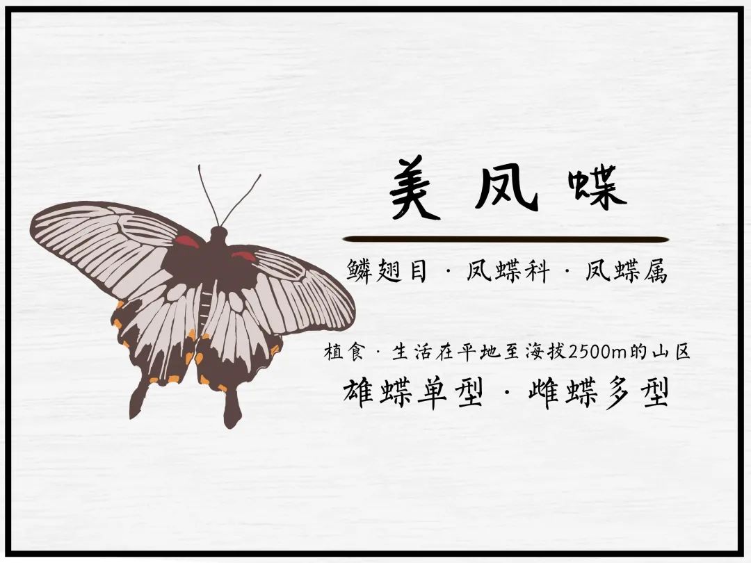 广汽丰田生态园·工业绿色风景线丨普邦设计-88