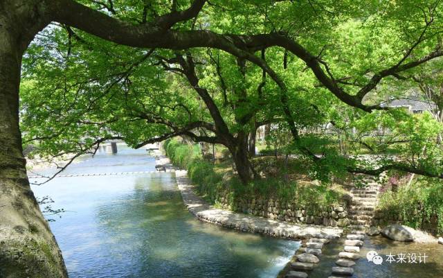 浙江皂溪村 | 景观改造焕新颜-31