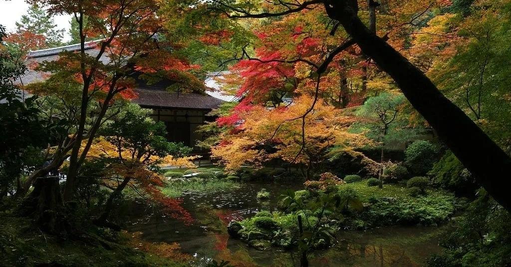 梦窗疏石·禅庭闲寂丨日本-43