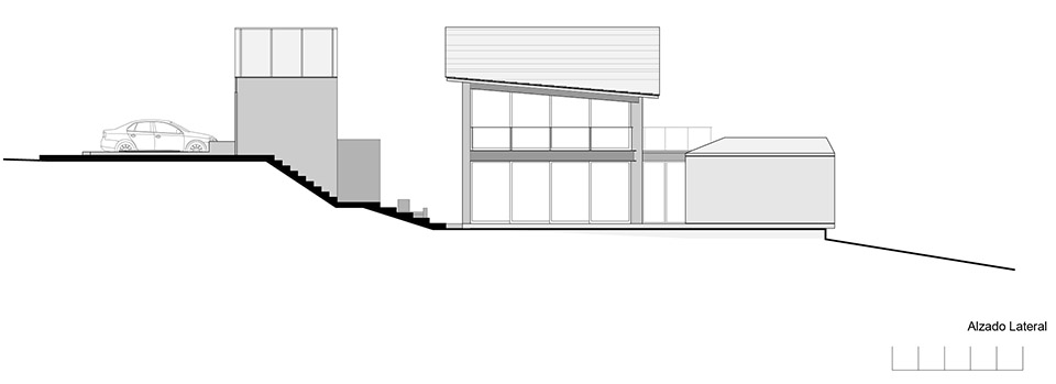 高树之家丨墨西哥丨1i Arquitectura-45