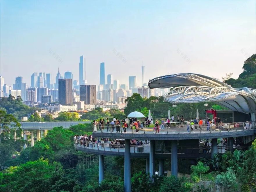 秋游啦!广州这个“靓出片”的景点不容错过-40