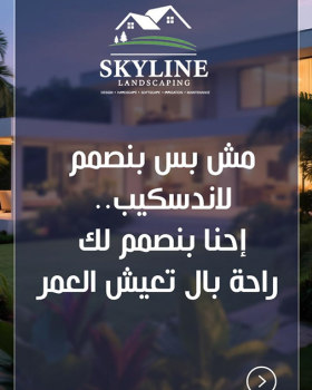 无明确提及丨Skyline