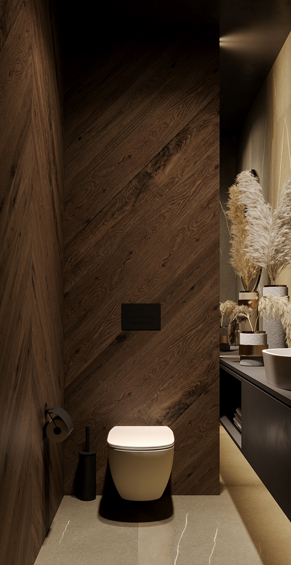 靠近白俄罗斯明斯克的370平大房子-76