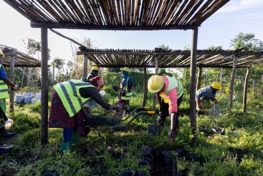 The Ellen DeGeneres Campus of the Dian Fossey Gorilla Fund | MASS Design Group-97