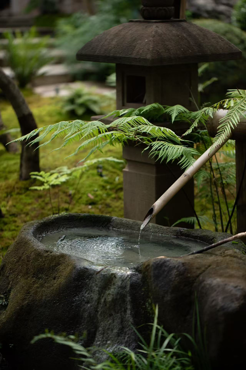 宋屿雲庭丨中国佛山丨陆启水建筑师事务所,宋屿园林-43