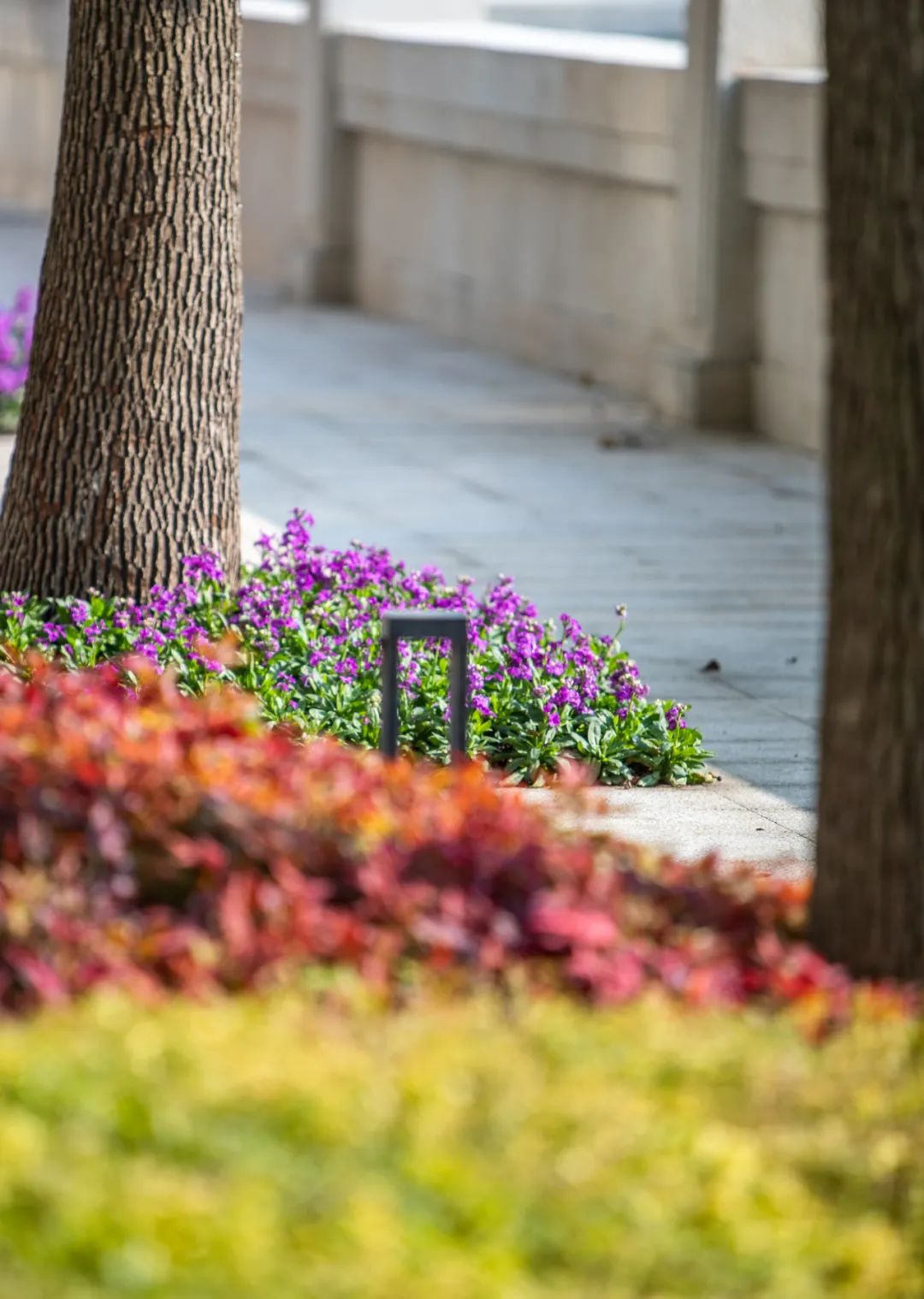 外滩最美会客厅花园 | 苏州河畔的沉浸式休闲景观-105