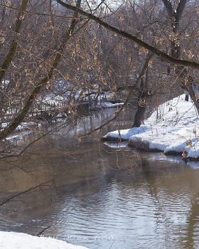 PAINTING EARLY SPRING