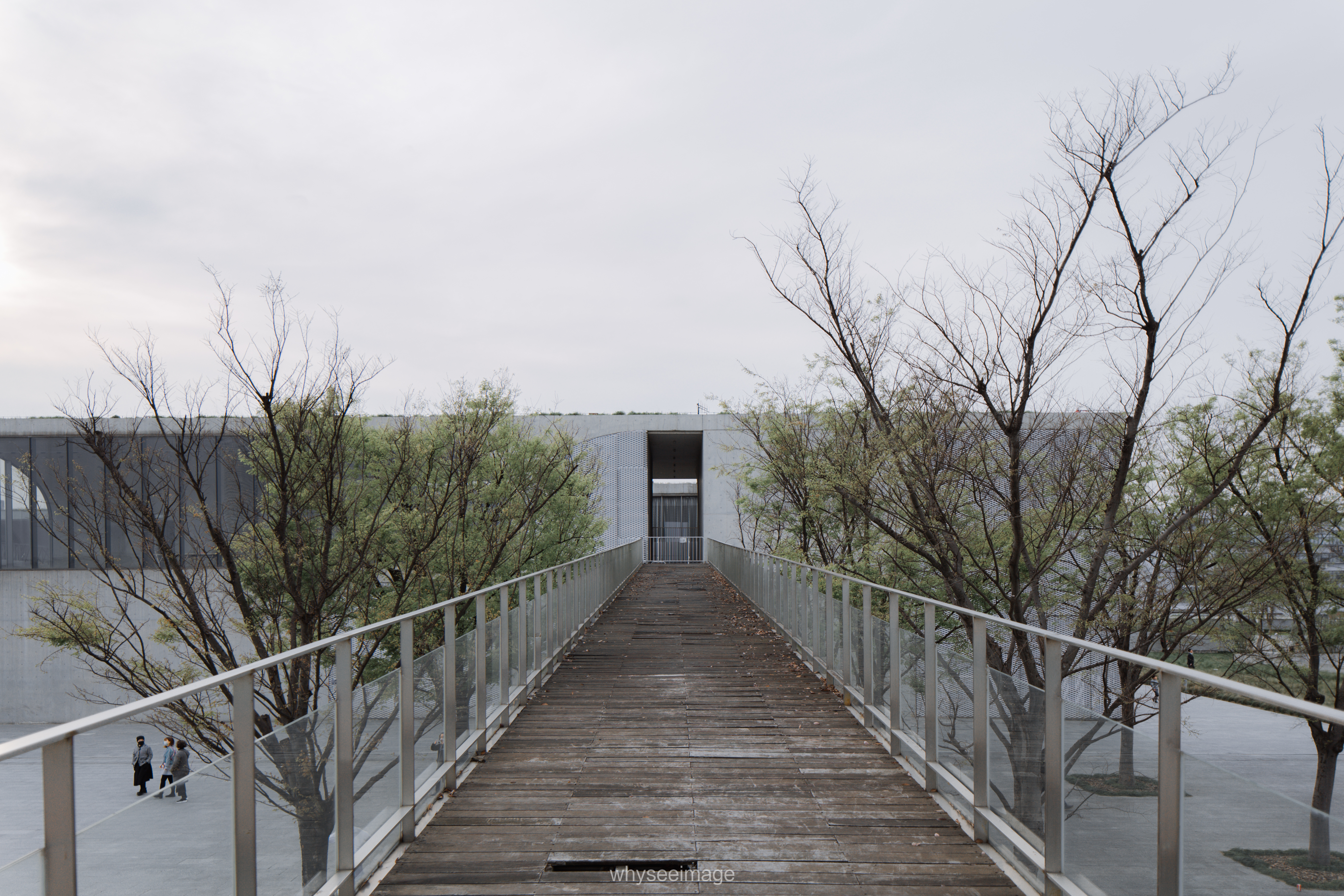 樱花+龙美术馆丨中国上海丨大舍建筑设计工作室-64