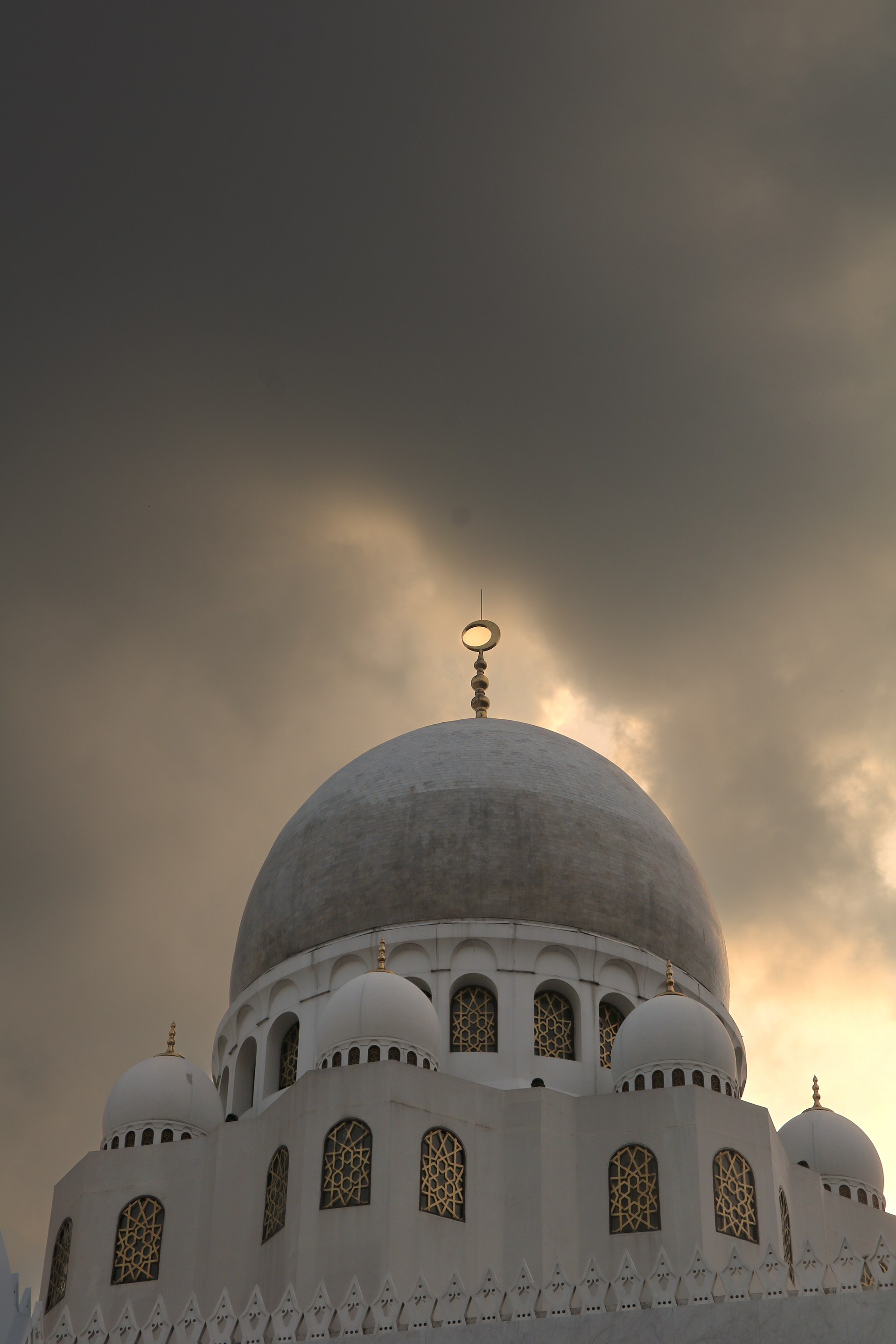 丨无相关信息-7