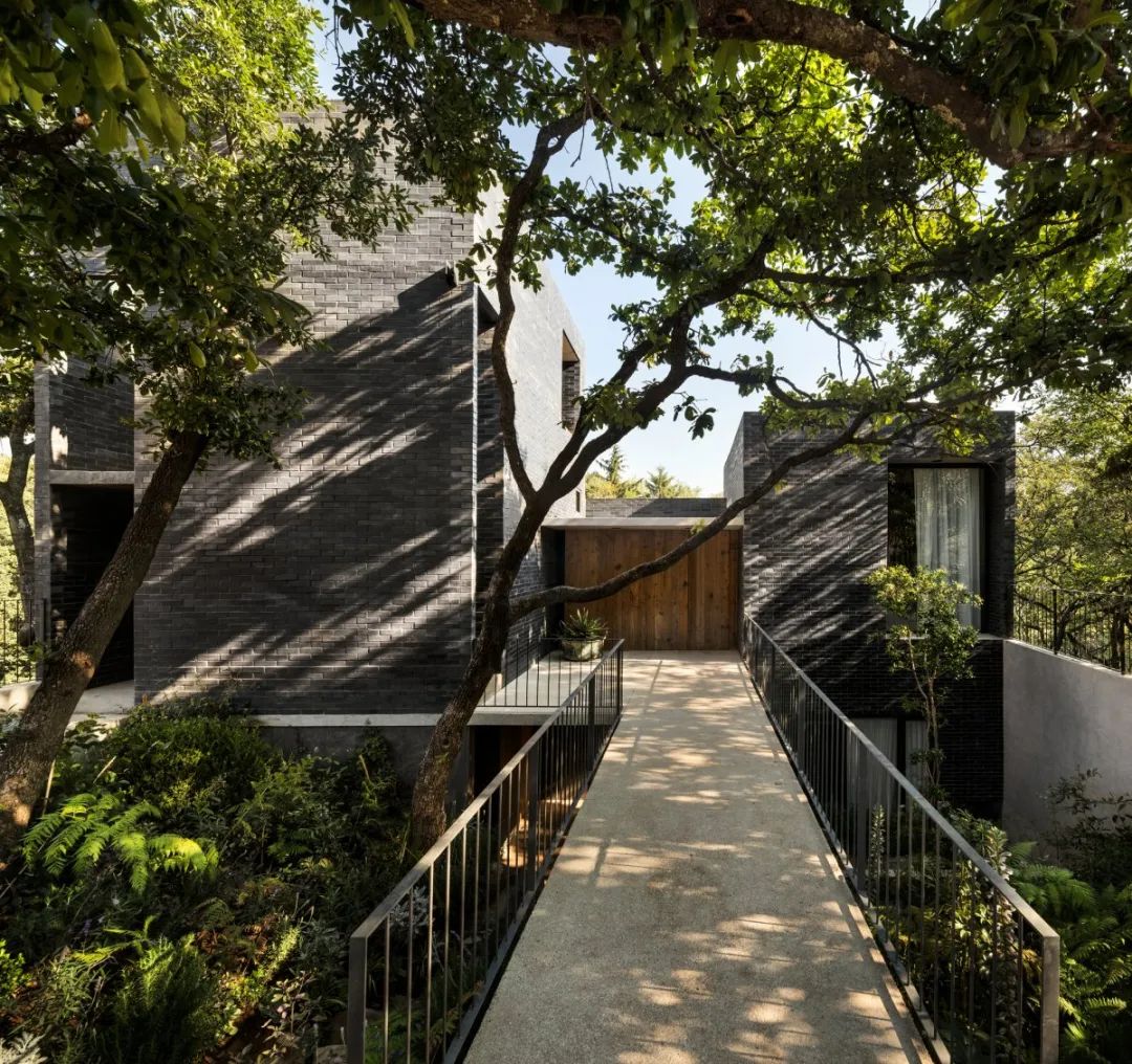 Progreso 地质博物馆与 CRA 住宅丨墨西哥丨Estudio MMX-87