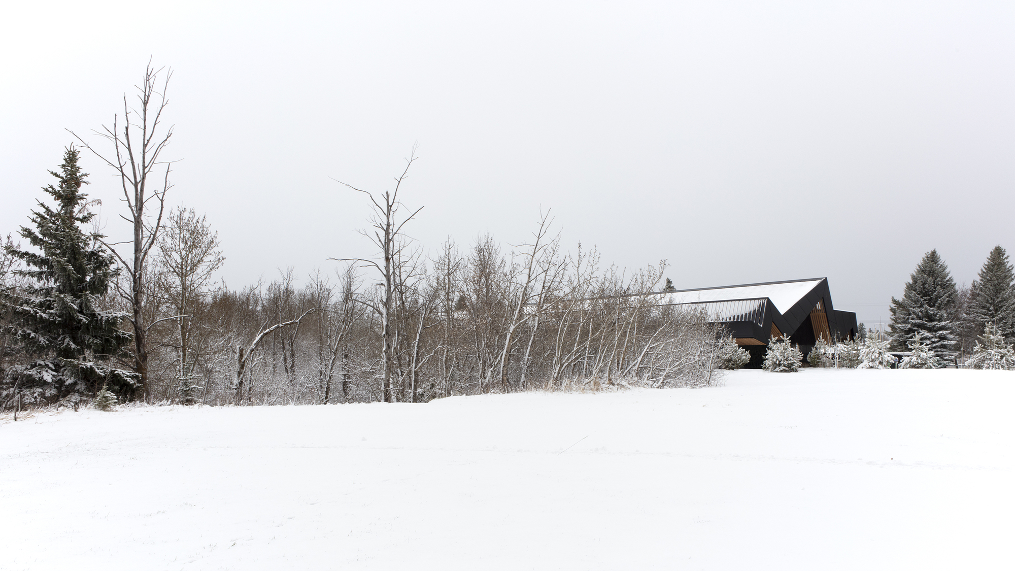 卡皮拉诺图书馆丨加拿大丨Patkau Architects + Group2-38