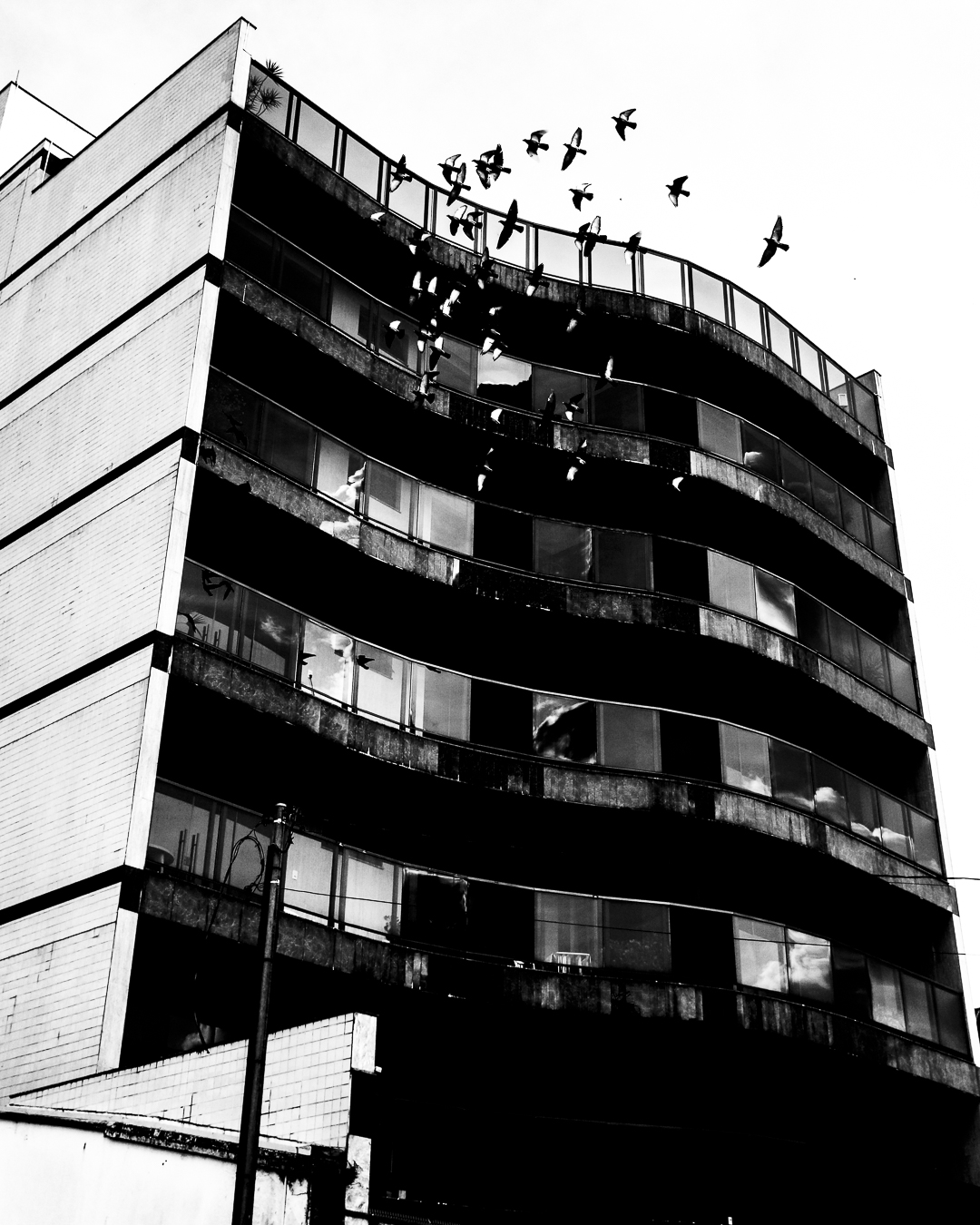 Street High Contrast BW Vol.2-2