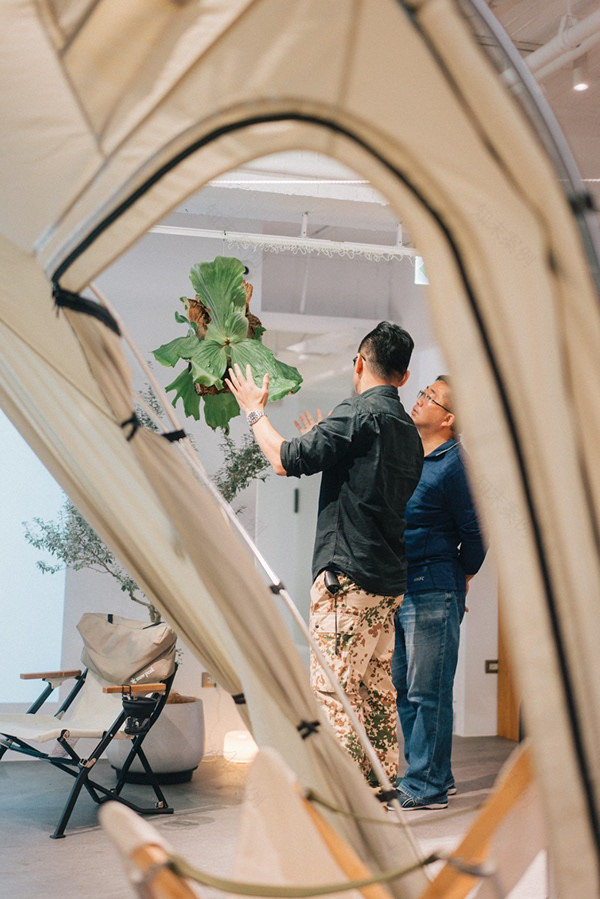 CornerGreen植角|植栽教學・森學【鹿角蕨居家佈置及上板課程】體驗工作坊-13