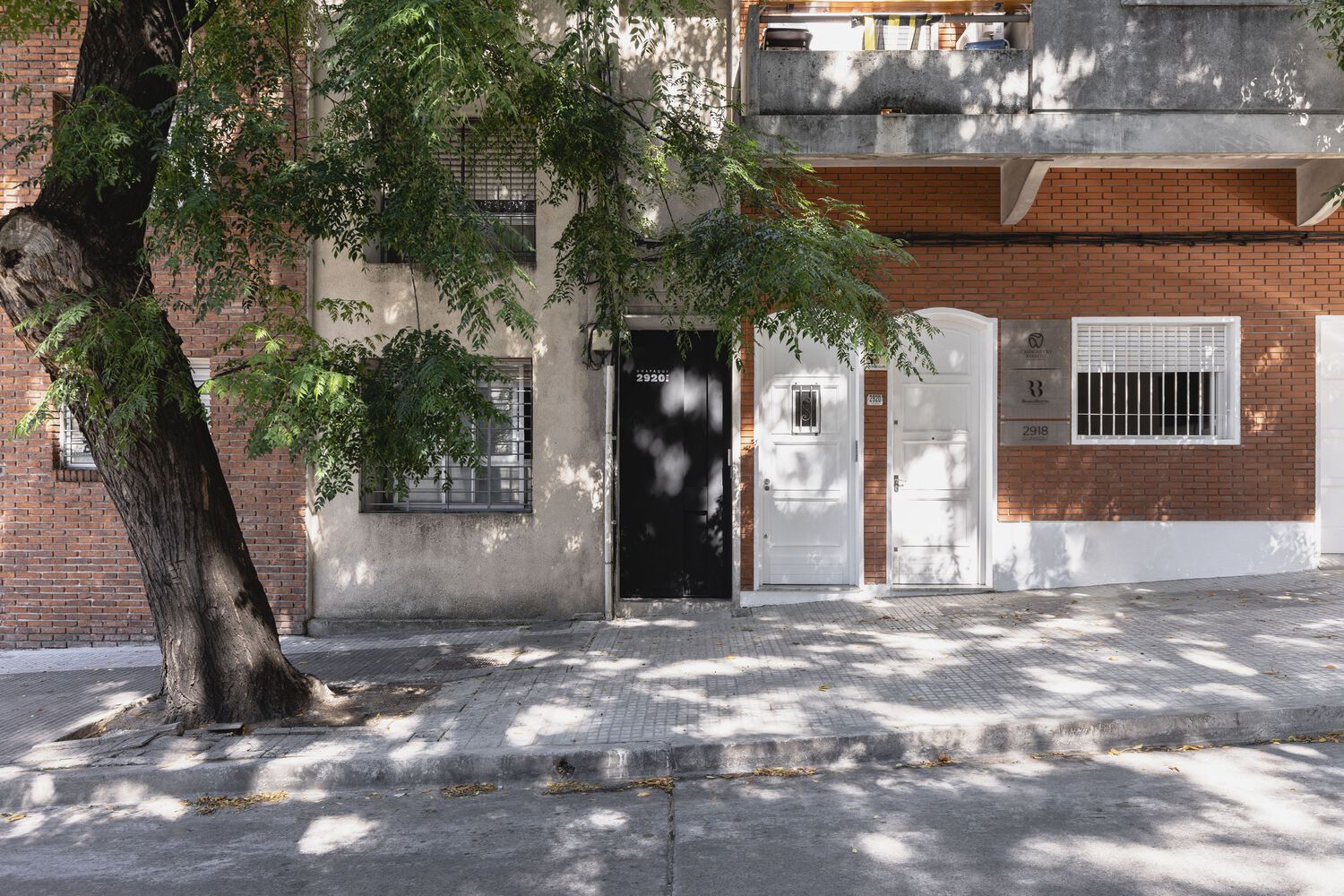 Wild Fi Offices | 绿色生态办公空间的典范-6