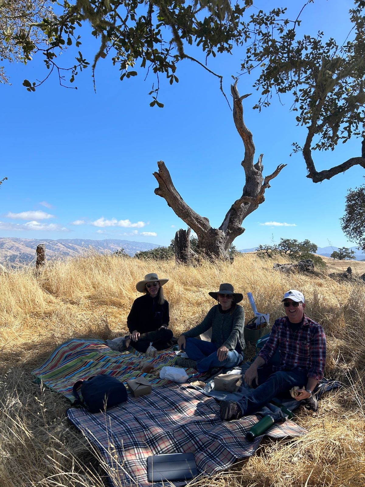 云顶之息（注：在特定游戏《最终幻想7：重制版》中有此名称，若没有相关特定背景，直译为云之休憩处 ） 

由于不清楚这个短语具体的使用语境，在一些特定的游戏等作品中它有固定的译法如上，如果没有特定背景，最贴近字面的翻译可提供如下版本供你按需参考：

云顶之憩-7