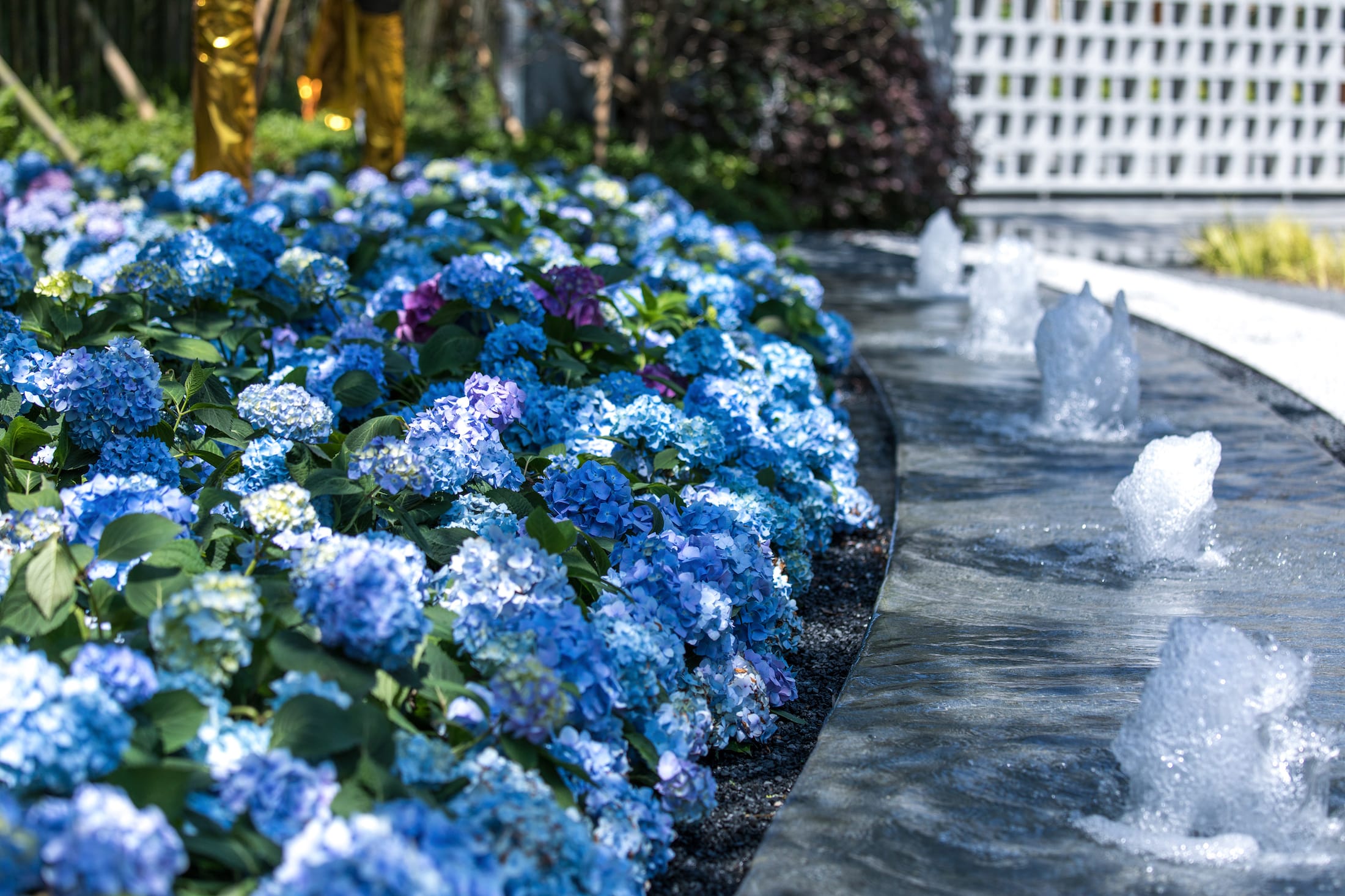 苏南万科常熟尚湖,亦构都市-38