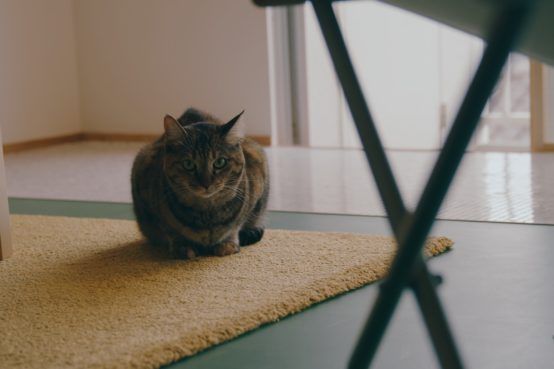 Uenogaoka的翻新丨MURO Hiroshi Atelier-25