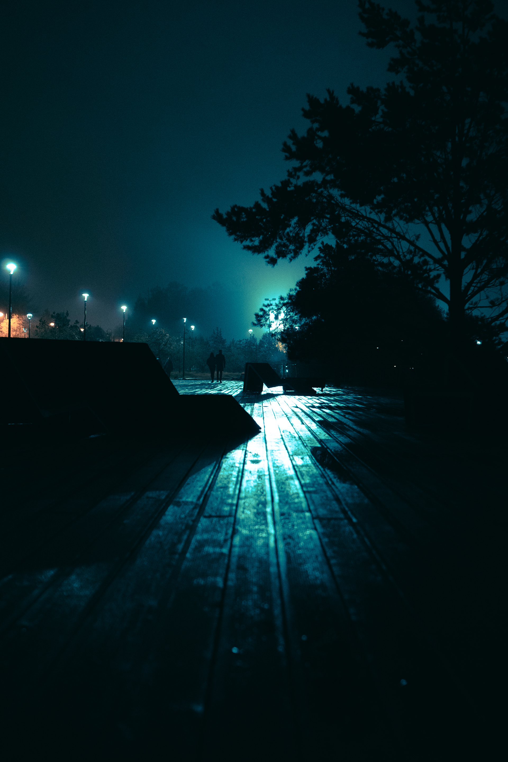 雾夜中的圣彼得堡丨俄罗斯圣彼得堡-7