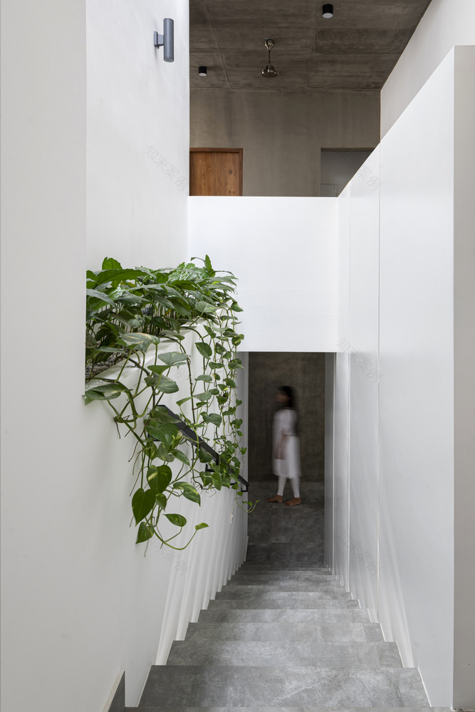 白色立方体住宅丨印度特里凡得琅丨Srijit Srinivas ARCHITECTS-34