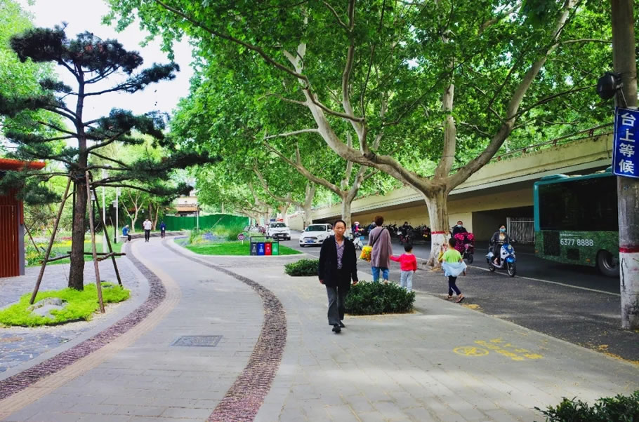 郑州人民公园“拆墙透绿”打造城园一体空间丨中国郑州-18