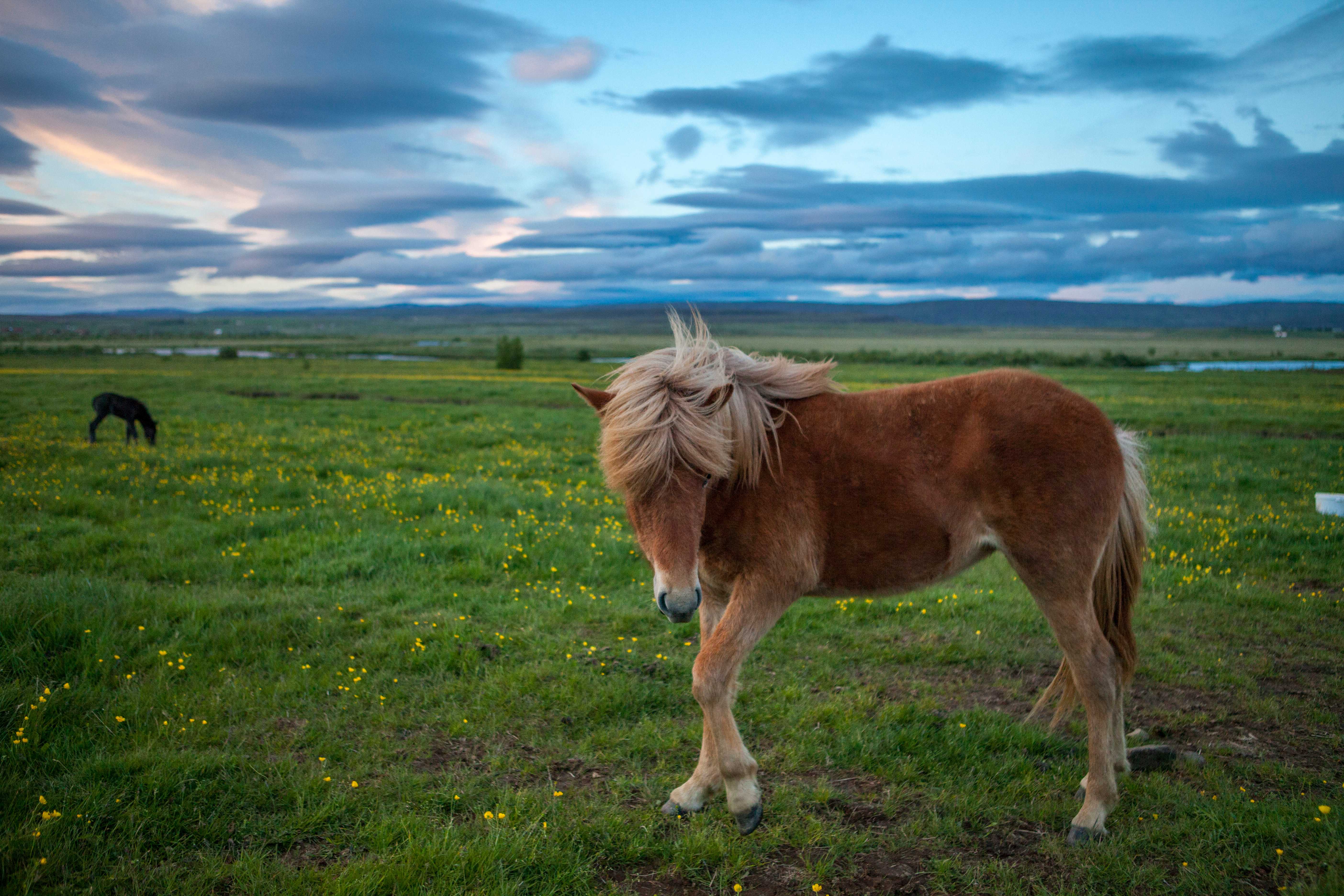 融入自然的冰岛“大小石城”-23