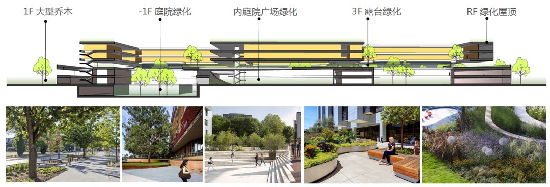 莆田一中“海、山、水”主题校园设计,呈现自然与人文融合之美-164