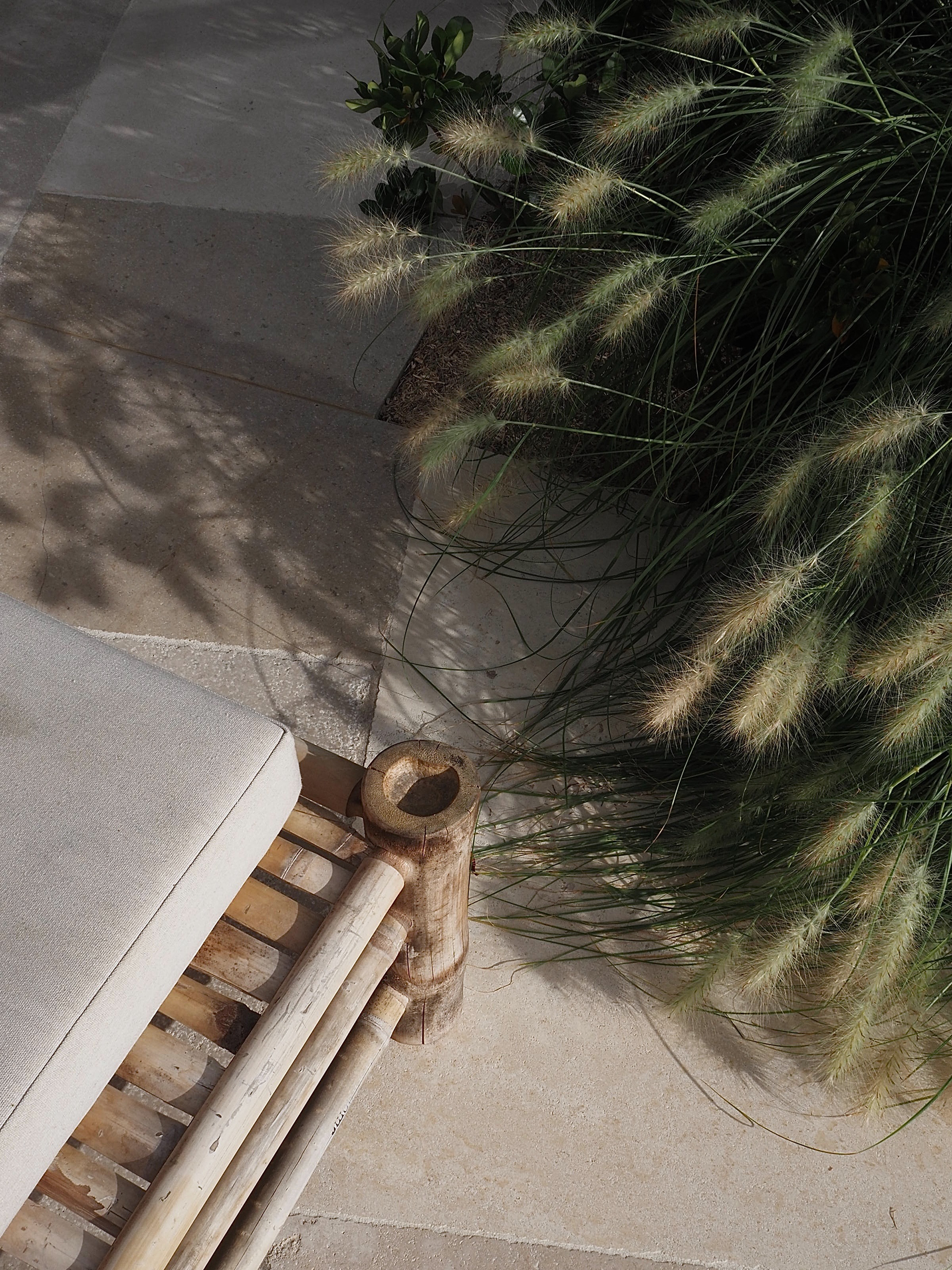 Île de Ré • 2024-14