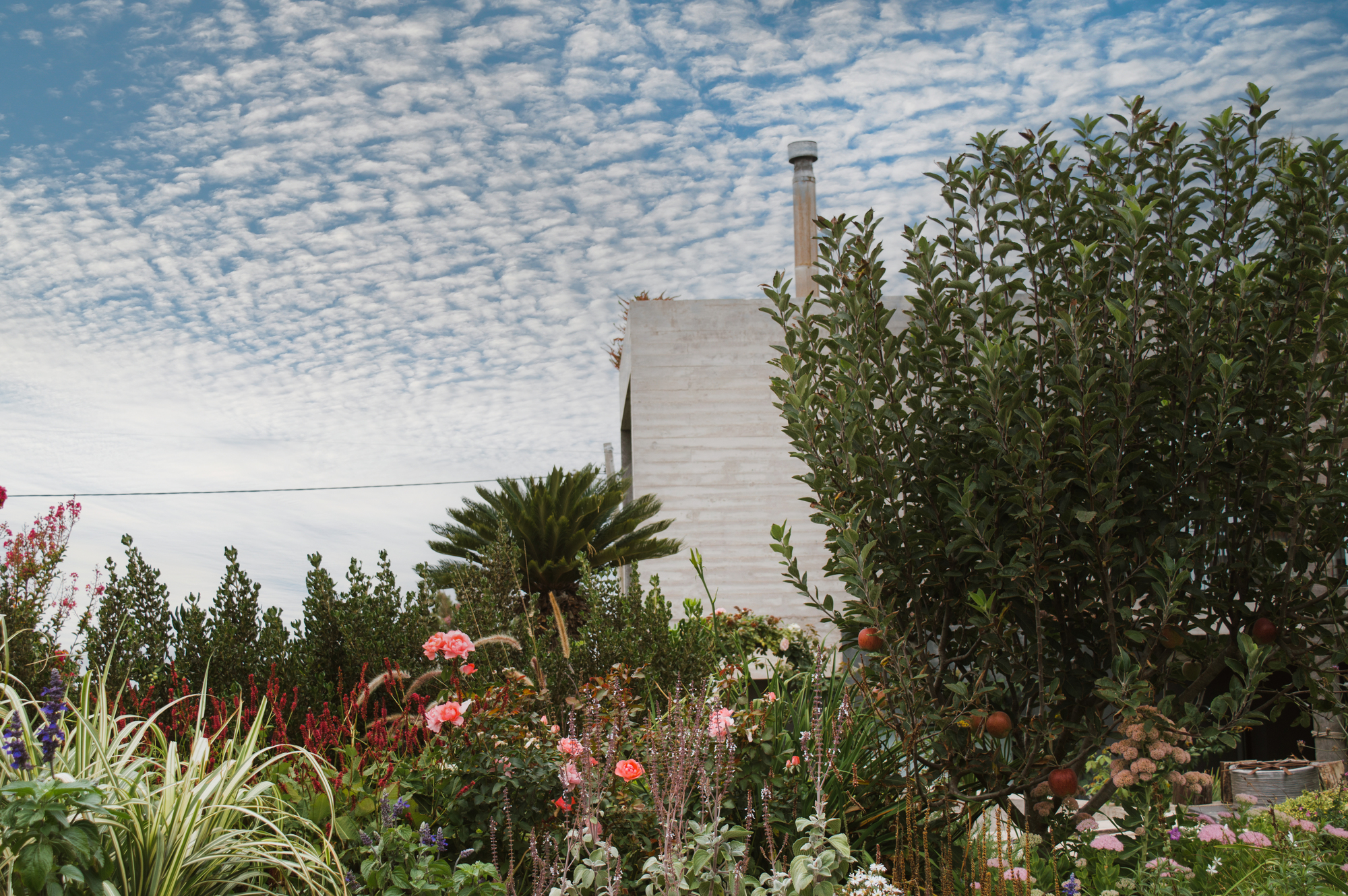 米拉多尔住宅丨阿根廷马德普拉塔-30