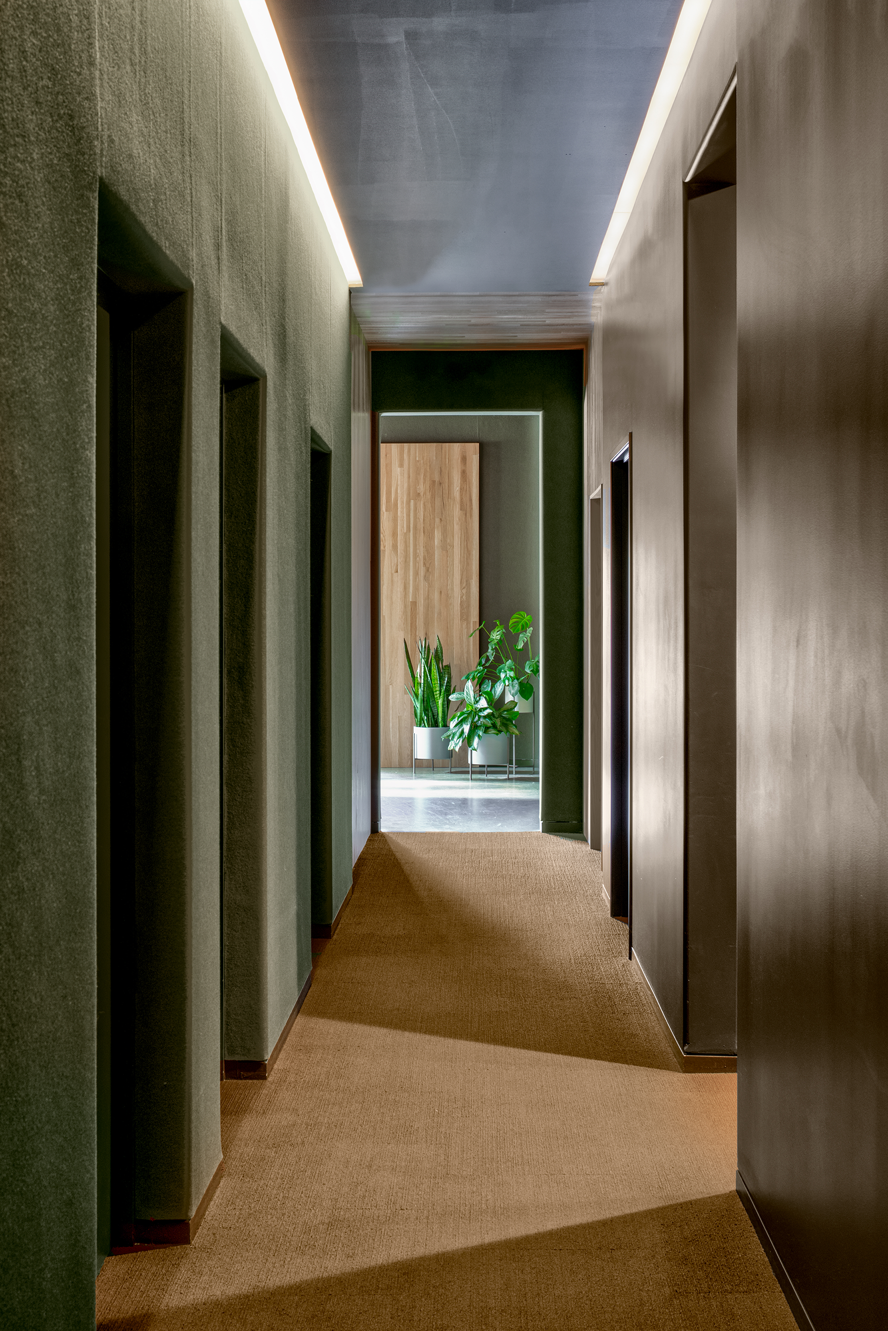 西北功能性神经学诊所丨美国俄勒冈丨Fieldwork Design and Architecture-14