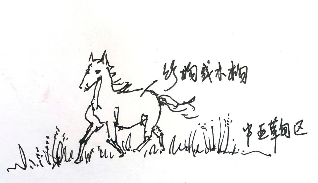 中国园林|沈实现何洋：城市事件视角下的亚洲花卉主题园设计研究与探索-81