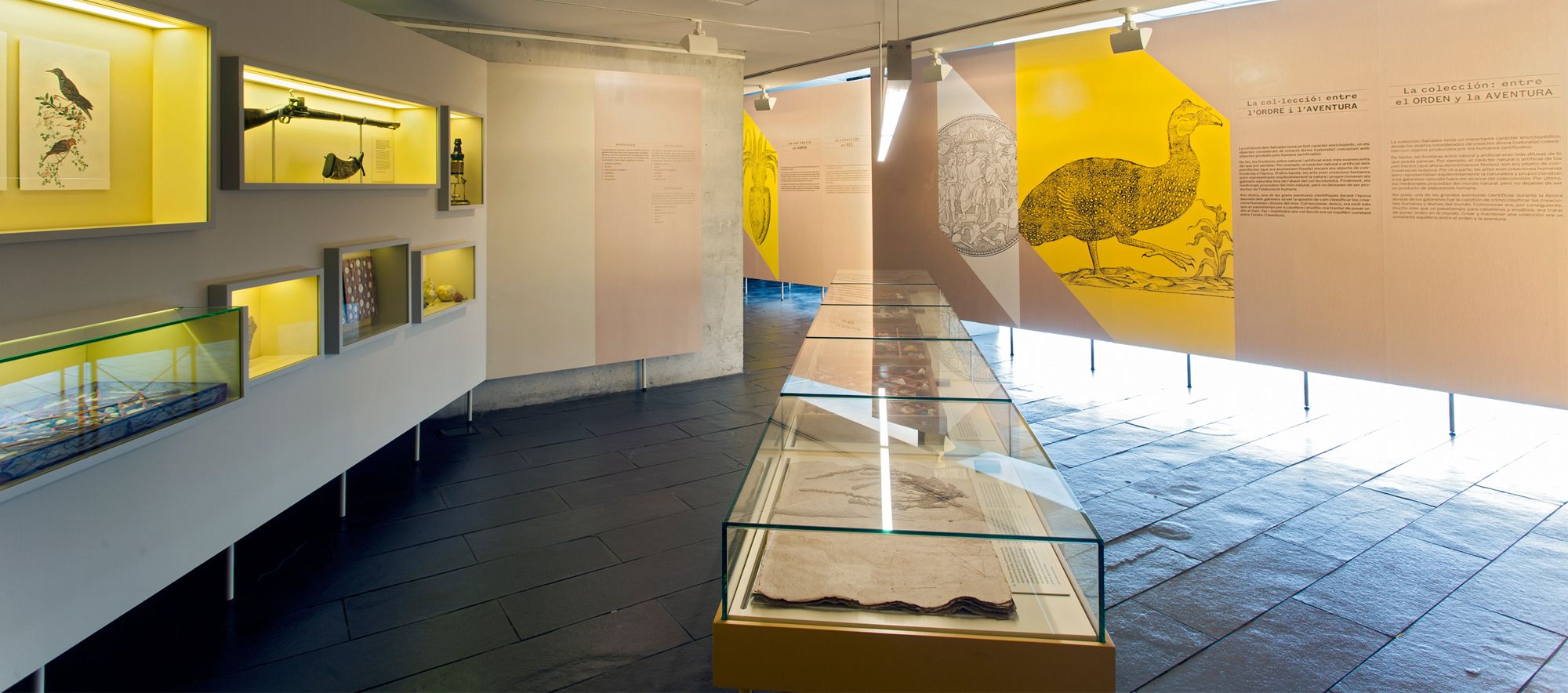 SALVADORIANA科学藏品展丨西班牙巴塞罗那丨emiliana design studio-12