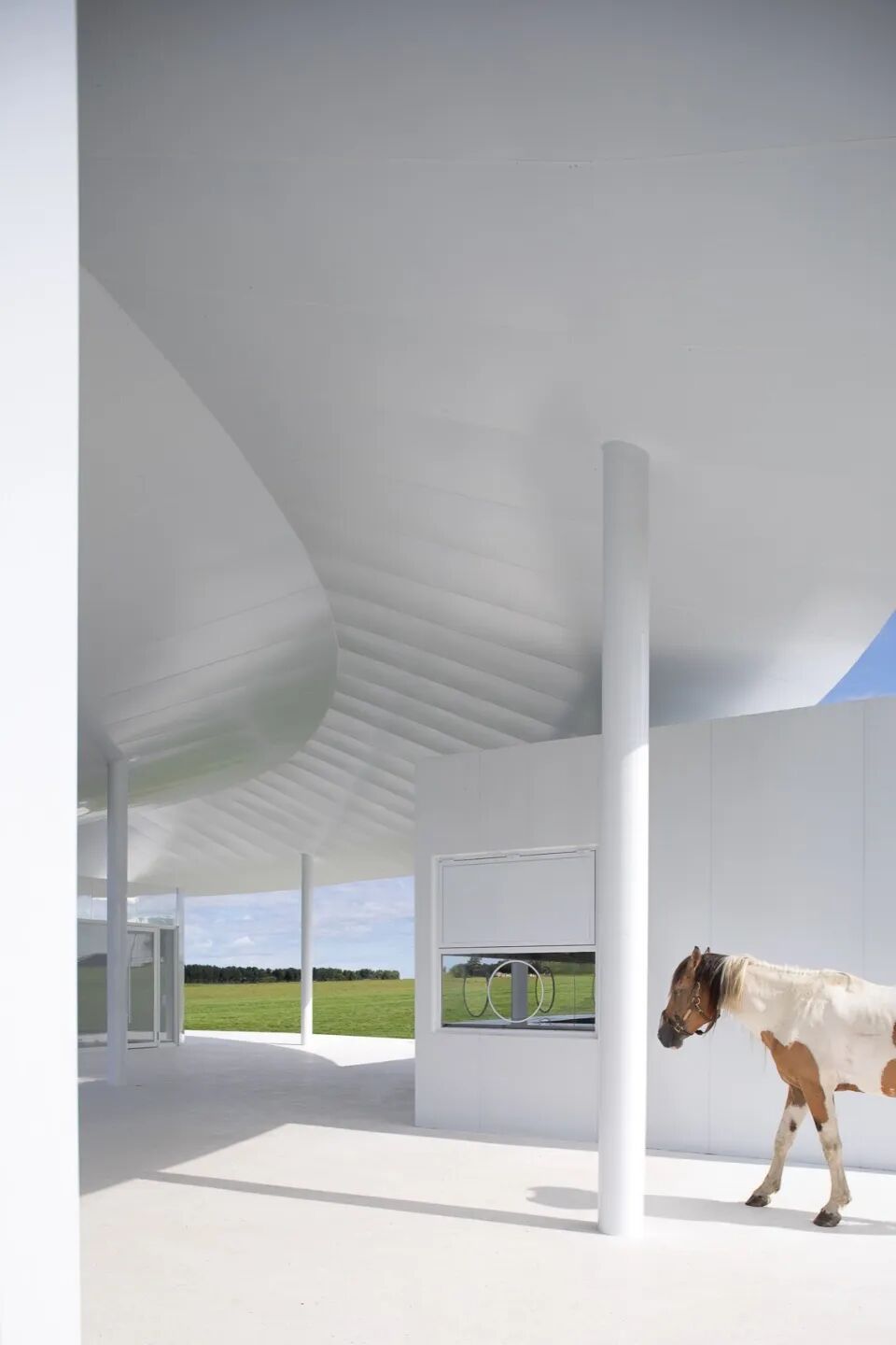 慢珊瑚新作｜大庆阿木塔风景区的草原方舟-158