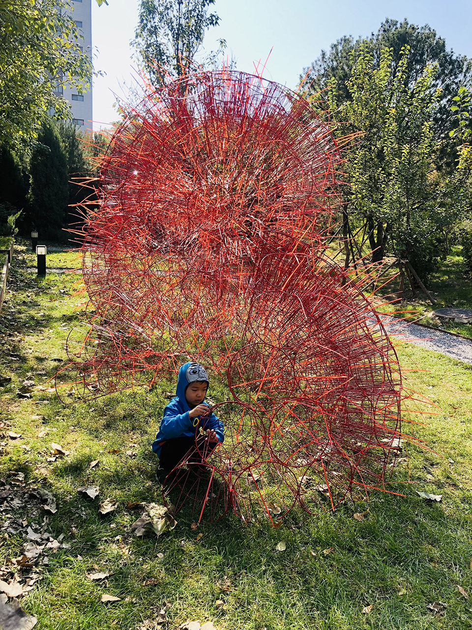 丹岩丨中国北京丨北京林业大学-87