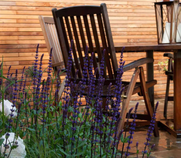 Teddington大型后花园项目丨Belderbos Landscapes-22