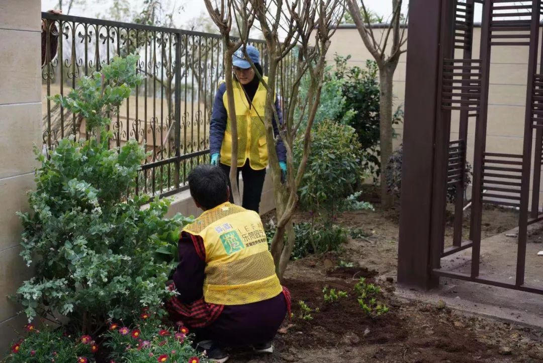 黄龙溪谷铂朗峰 | 乐梵造园的樱花盛开的别墅花园-65