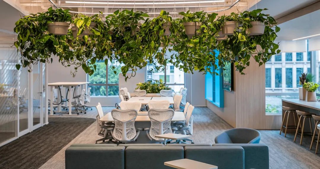 圣保罗自然灵动的 2Future 办公空间丨巴西圣保罗丨Perkins&Will 设计团队-18