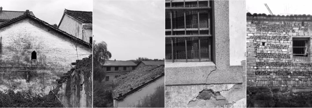 千岛鲁能胜地展示区 | 文旅融合,沉浸自然-11