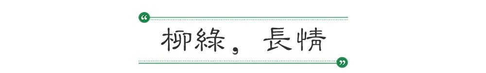 春日新绿,生活的温柔艺术-12