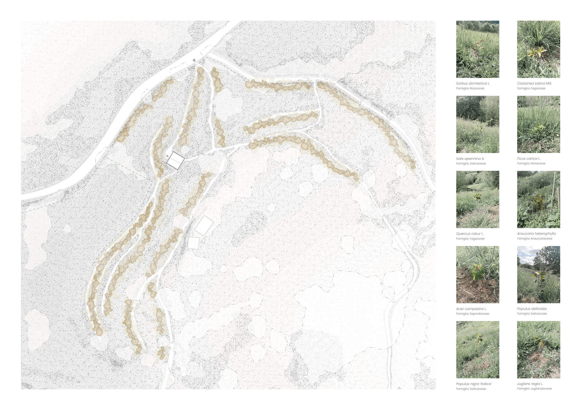 Taller Agropoetico - Foresta Collective / Atelier Poem-44