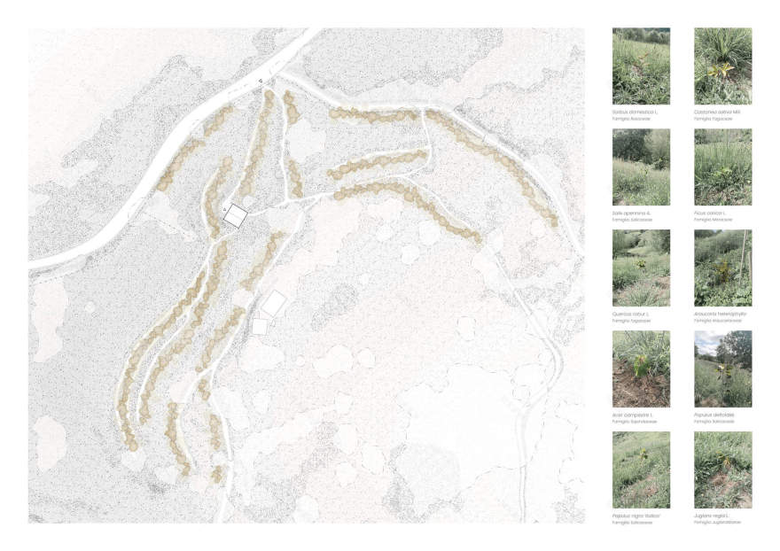 Taller Agropoetico - Foresta Collective / Atelier Poem-44