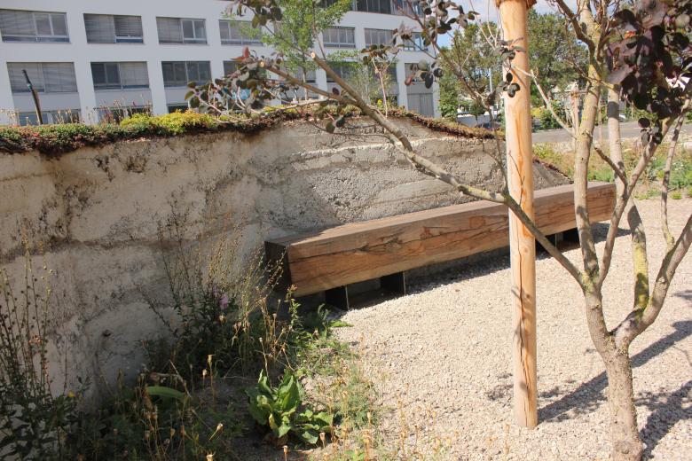 演替中的公园景观丨奥地利-10