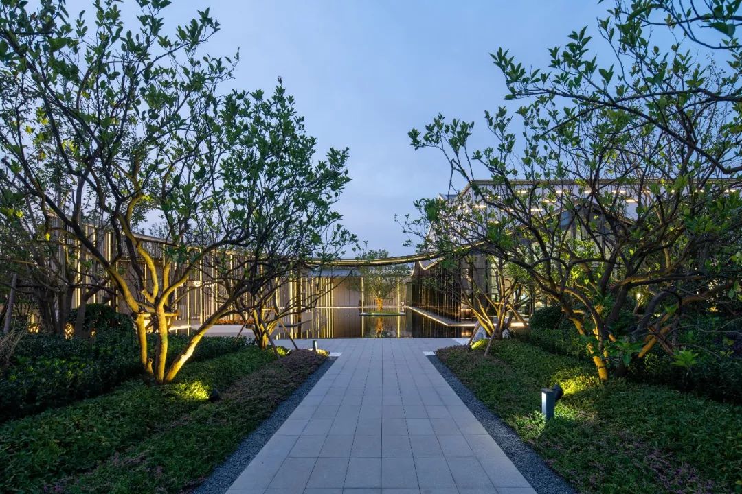 森林公园变奏曲 | 合肥北城正荣府示范区-48