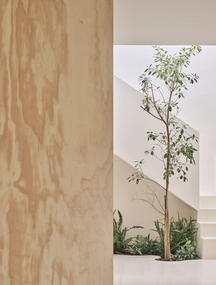 温馨魔法的儿科诊所·Pineda Monedero-23