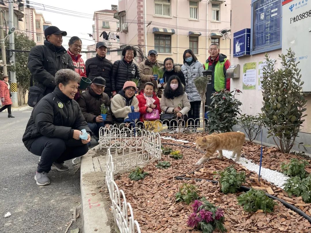 小区绿化带变身童话花园还差一个你，快快来加入吧！-33