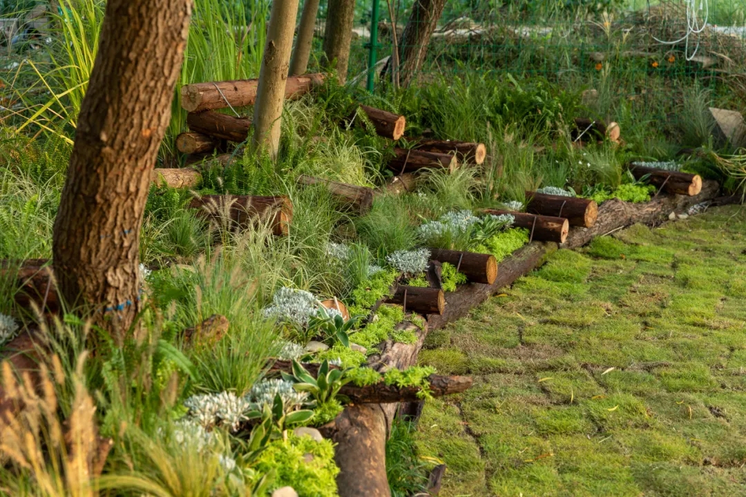 有MORE有YOUNG·新青年2021奥雅乡建营项目丨未明确提及具体设计团队-6