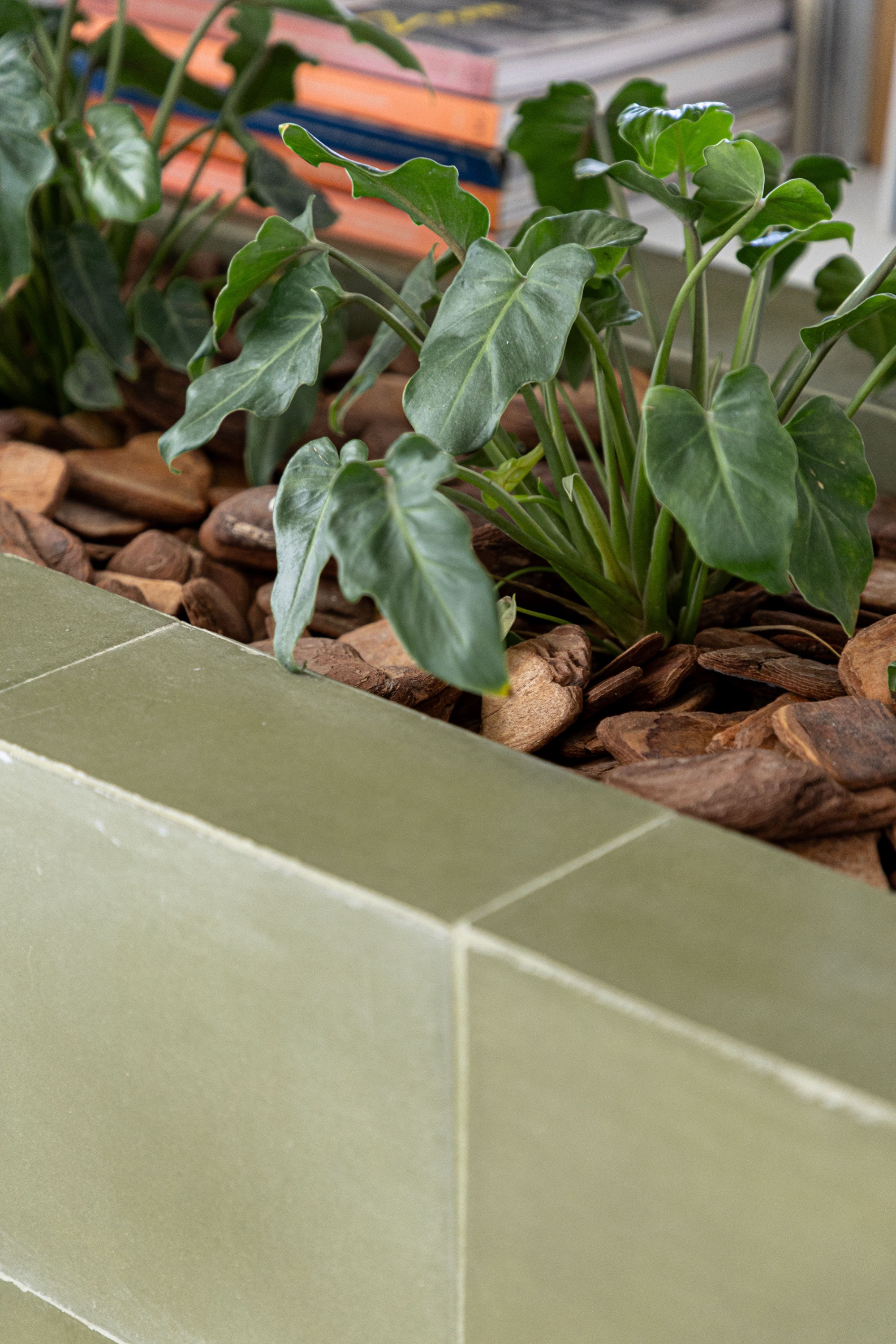 森林公寓丨巴西圣保罗丨Balaio Arquitetura-40