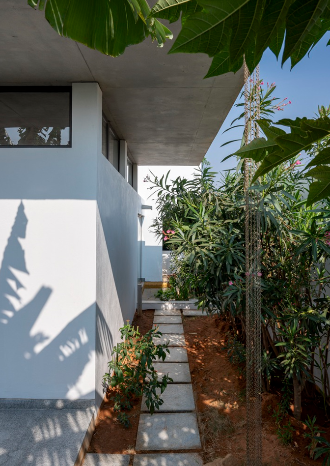 丨罗马尼亚德瓦-28